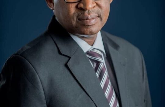 PRESIDENT TINUBU APPOINTS NAMDAS DG FOR BCDA, OBAHIAGBON, UMEOJI, EXECUTIVE DIRECTORS FOR NDPHC