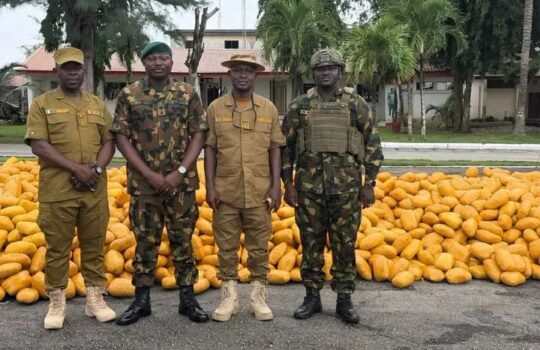 Soldiers Intercept Suspected Illicit Drugs on Lagos-Calabar Coastal Road, Arrest Driver
