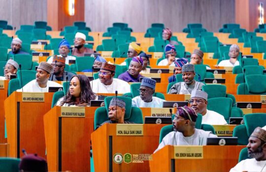 House Drops Own State Police Bill, Advances Tinubu’s Proposal