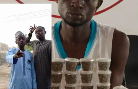 Man Sentenced to Seven Years in Prison for Advertising Cannabis on Social Media