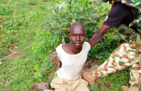 Army Arrests Sudanese Terror Suspect, Ghanaian Woman in Borno
