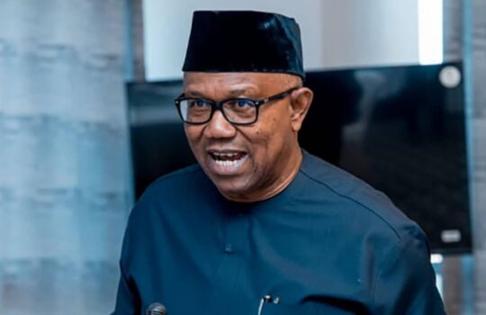 Presidency Labels Peter Obi’s TV Interview ‘PR Disaster,’ Defends Tinubu’s Political Journey